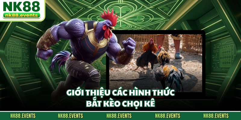 Giới thiệu các hình thức bắt kèo chọi kê