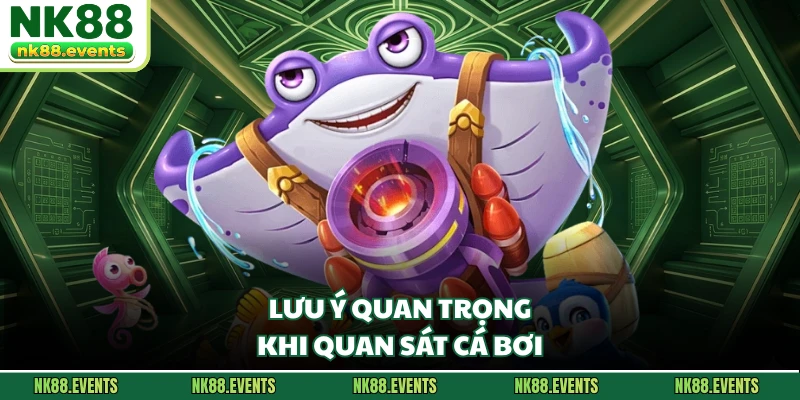 Lưu ý quan trọng khi quan sát cá bơi