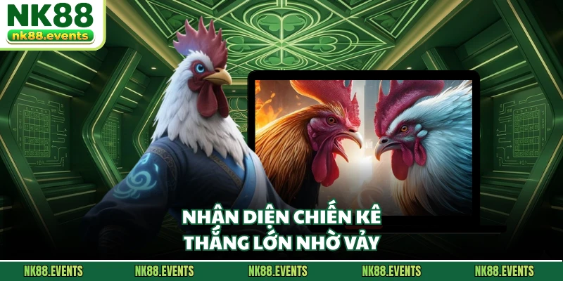 Nhận diện chiến kê thắng lớn nhờ vảy