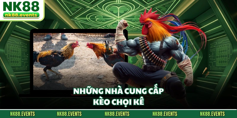 Những nhà cung cấp kèo chọi kê
