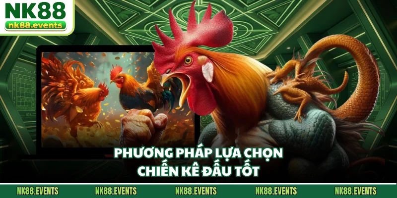 Phương pháp lựa chọn chiến kê đấu tốt