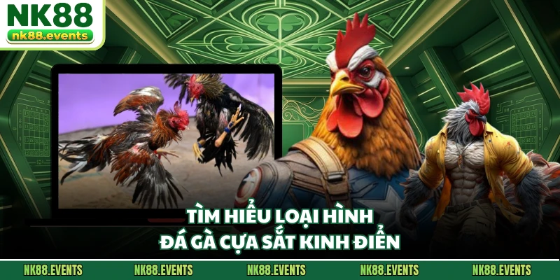 Tìm hiểu loại hình đá gà cựa sắt kinh điển